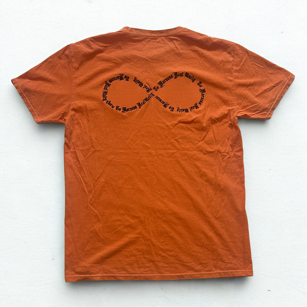 To Harness Real Unity Infinity Logo T-Shirt