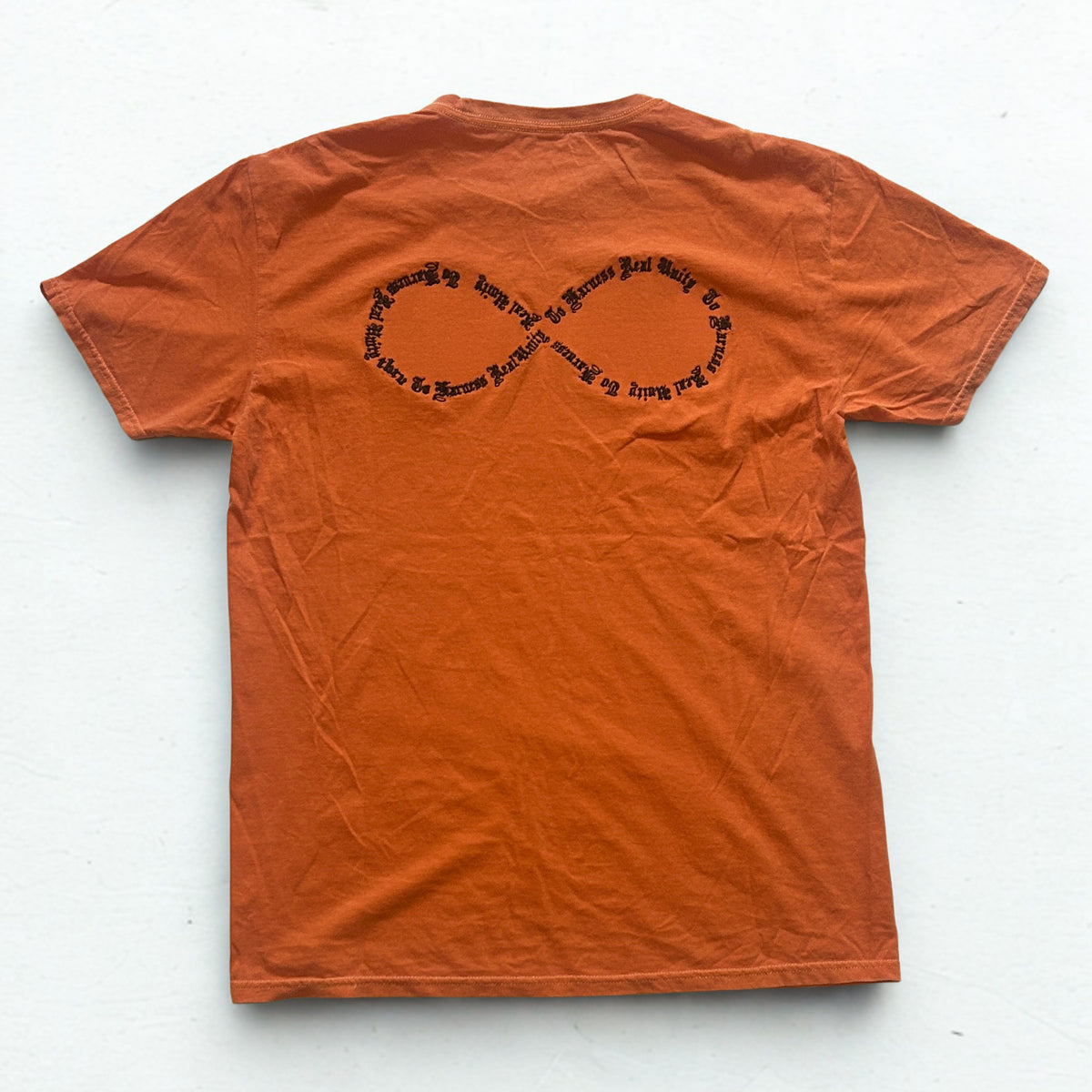 To Harness Real Unity Infinity Logo T-Shirt